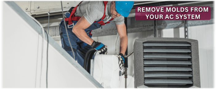 HVAC Mold Removal Delray Beach FL